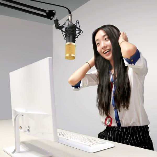 BM800 Professional Condenser Microphone