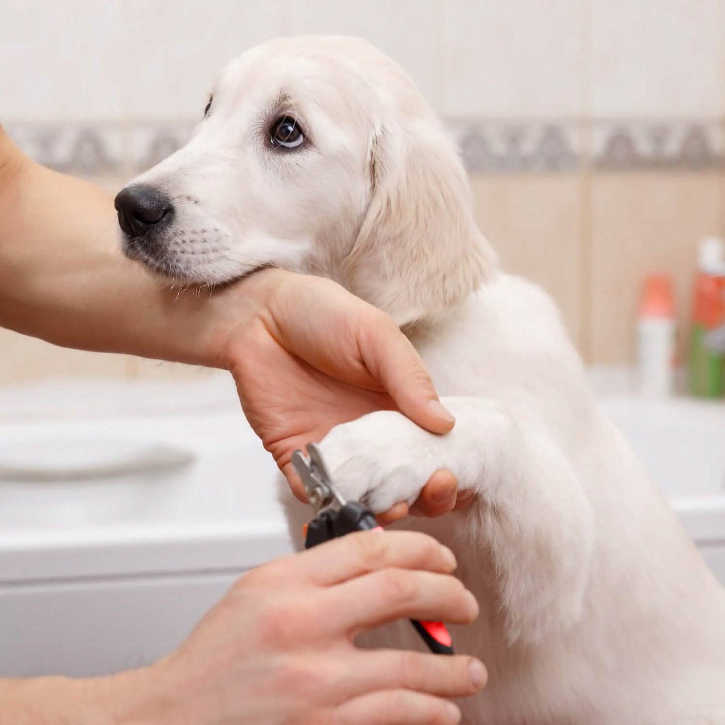 Pet Nail Trimmer with Safety Guard to Avoid Over-Cutting Nails