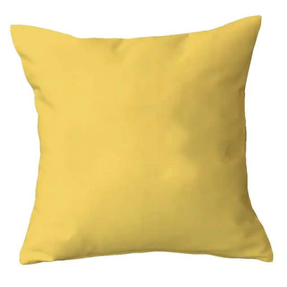 2-Piece: Solid Colored Simple Square Pillowcases