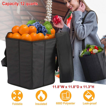 3 Gallon Collapsible Grocery Cooler Bag Seat Combo