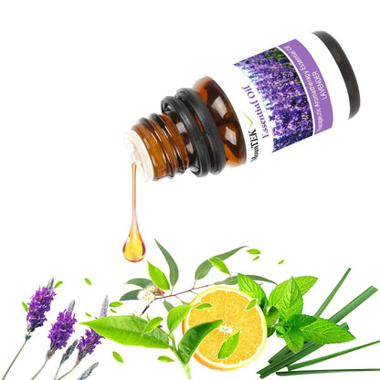 6-Pack: Therapeutic Aromatherapy Essential Oils Bottle