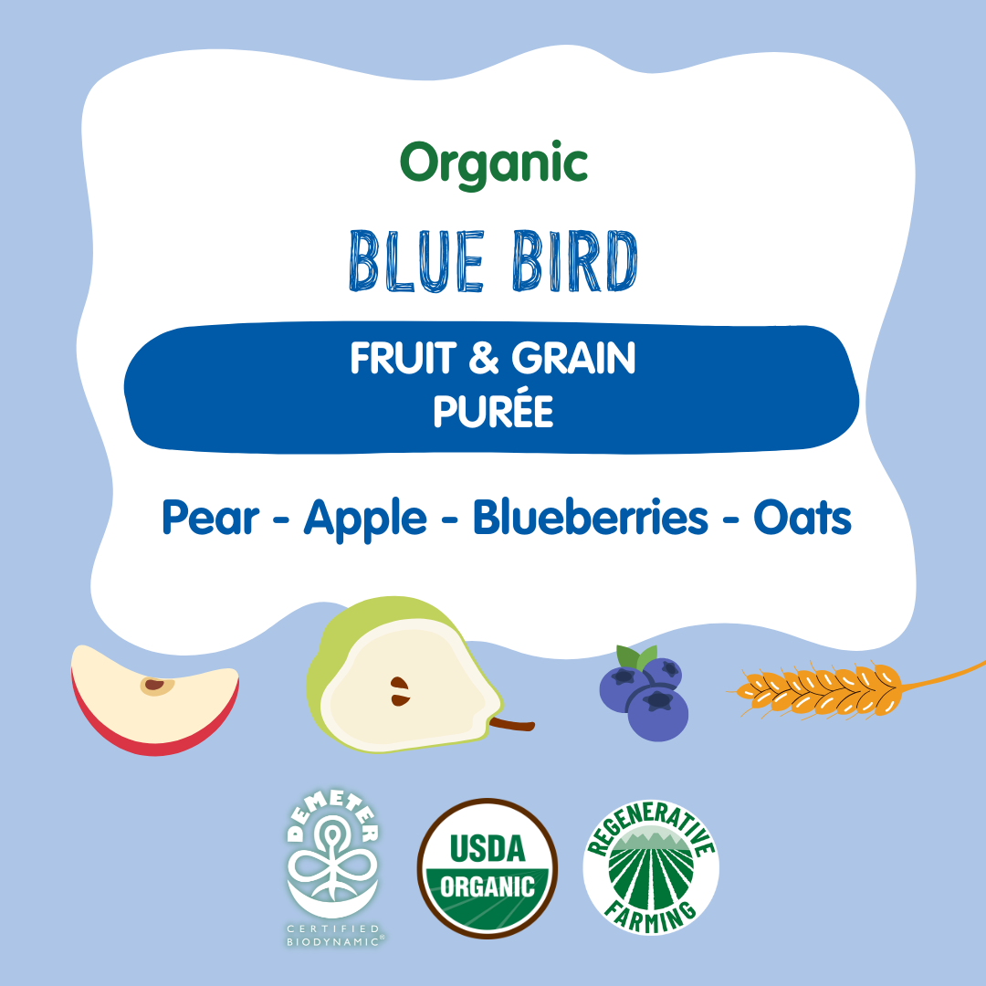 Holle Organic Blue Bird - Fruit & Grain Purée Pouches