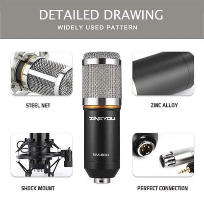 BM800 Professional Condenser Microphone