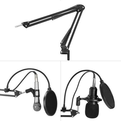 BM800 Professional Condenser Microphone