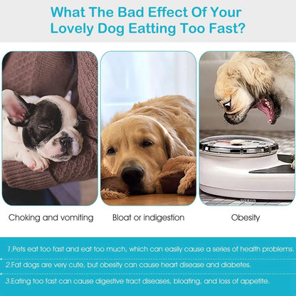 Dog Cat Slow Feeder Bowl