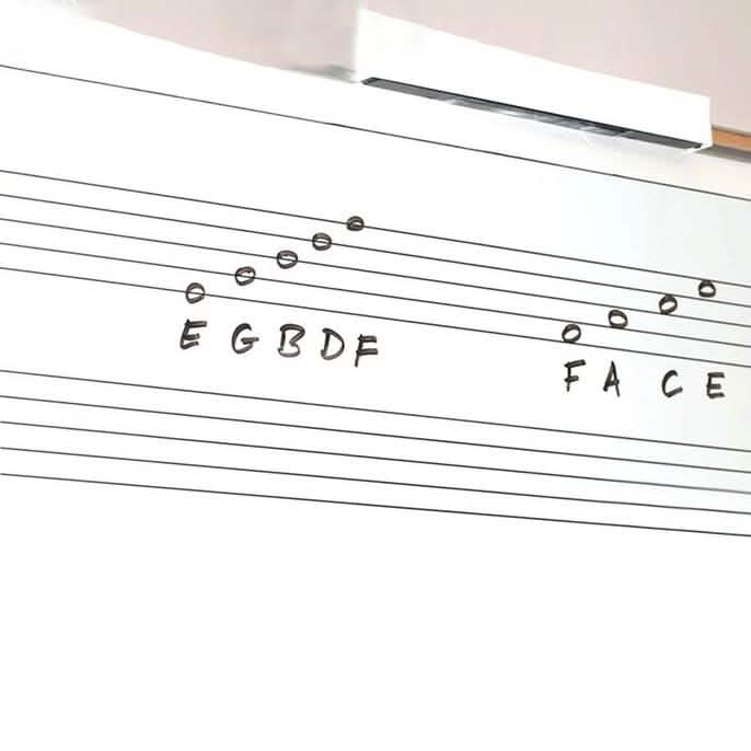 Dry-Erase 6-Ft. Whiteboard or Chalkboard Wall Decal