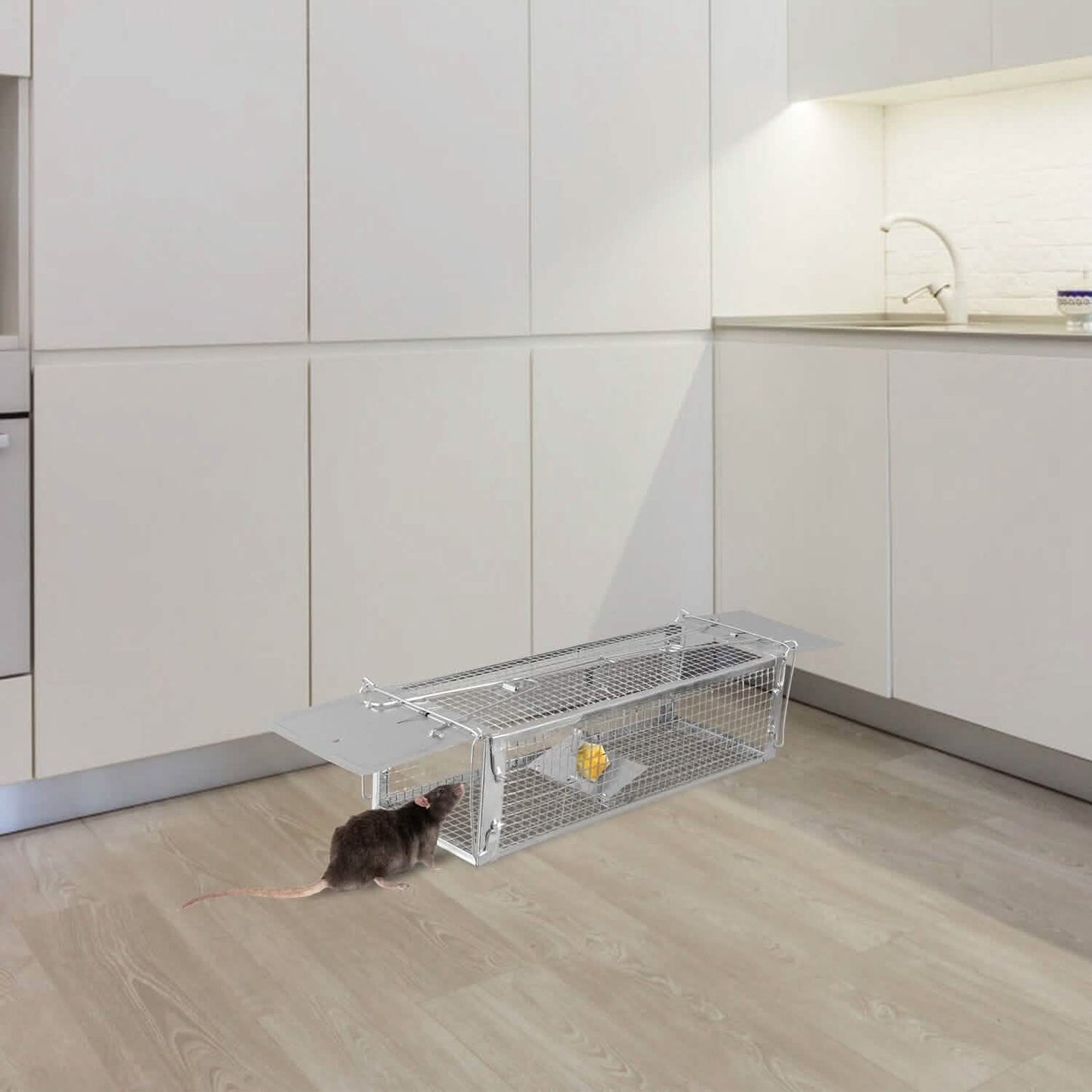Dual Door Rat Trap Cage Humane with 2 Detachable U Shape Rod