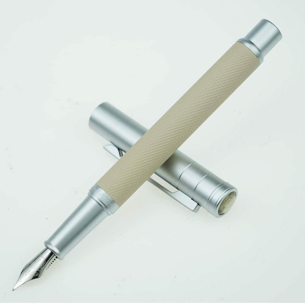 Hongdian Silver Birch Forest Fountain Pen