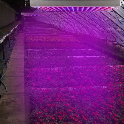 LED Grow Light Full Spectrum Hanging
