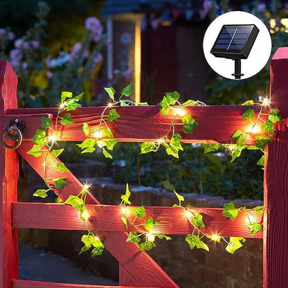 LED Solar Ivy Leaf String Light