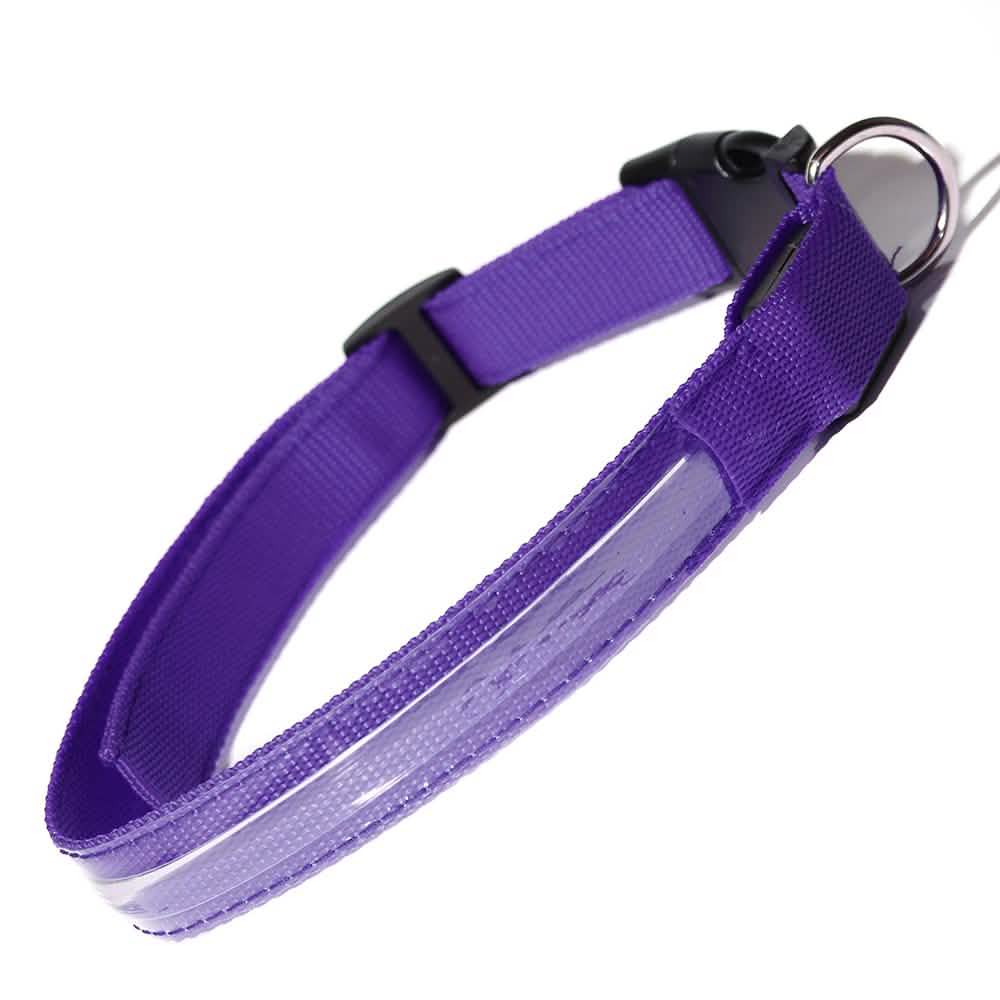 Pet LED Collar