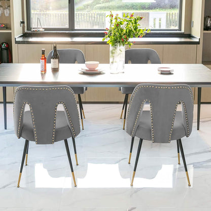 Set of 2: Modern Dining Chairs
