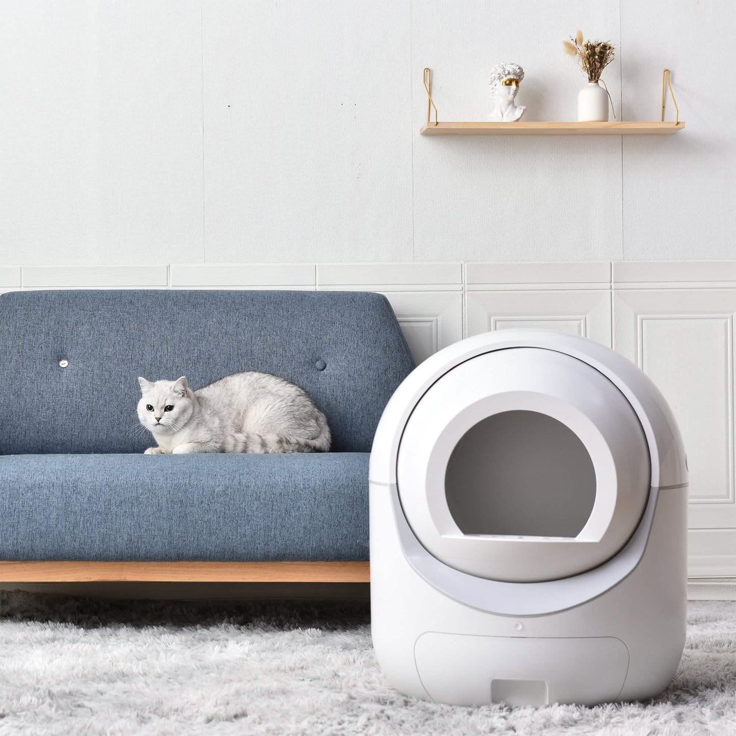 Smart Automatic Litter Box, Self -Cleaning Cat Litter Box for Multiple Cats