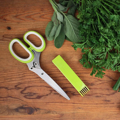 Stainless Steel 5 Blade Herb Scissors