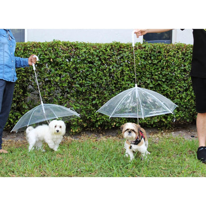 Transparent Outdoor Dog or Puppy Umbrella with Chain Leash