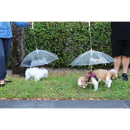 Transparent Outdoor Dog or Puppy Umbrella with Chain Leash