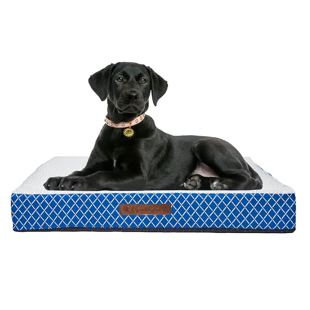 Wags & Whiskers Memory Foam Pet Bed - Assorted Styles