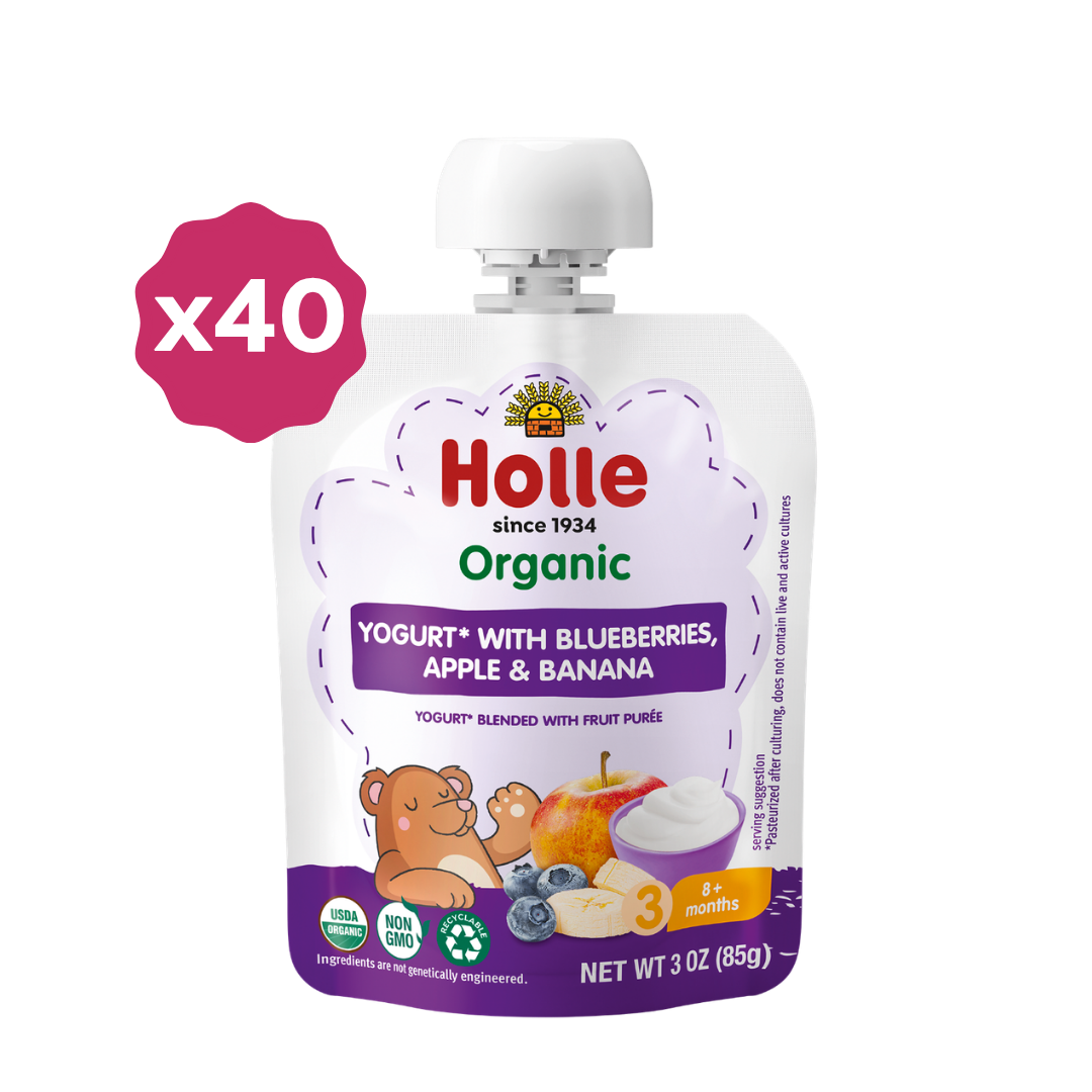 Holle Organic Blueberries, Apple & Banana Yogurt Pouches